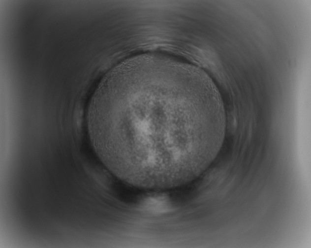 X0000090440263200707131225