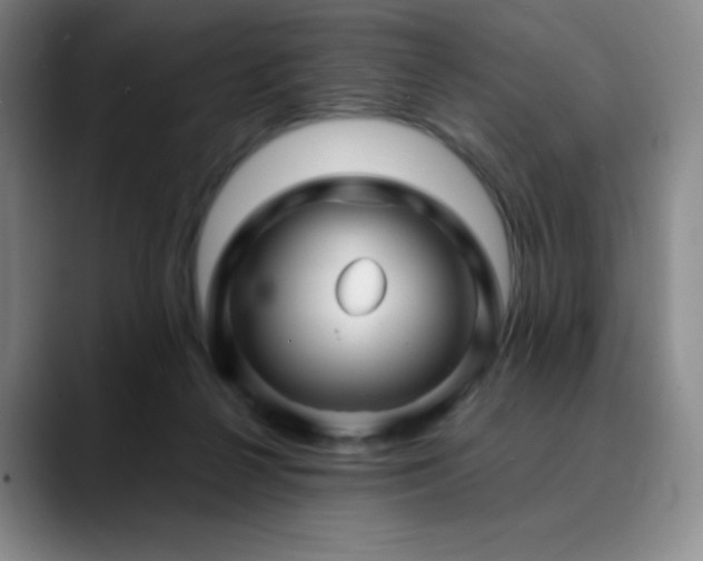 X0000090440264200707131225