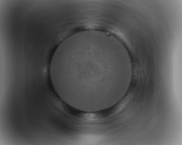 X0000090440265200707131225