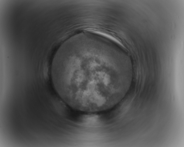 X0000090440266200707131225