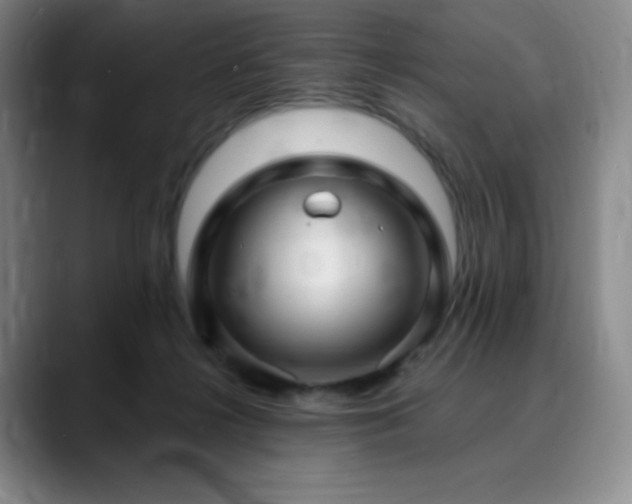 X0000090440268200707131225