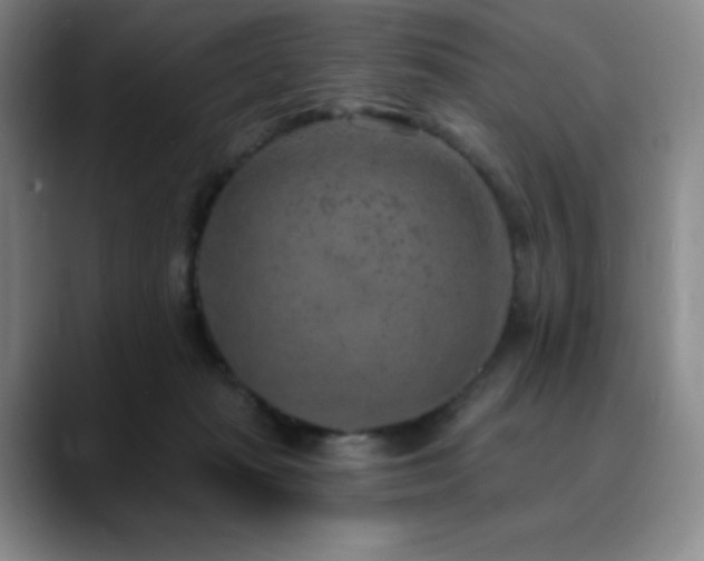 X0000090440269200707131225