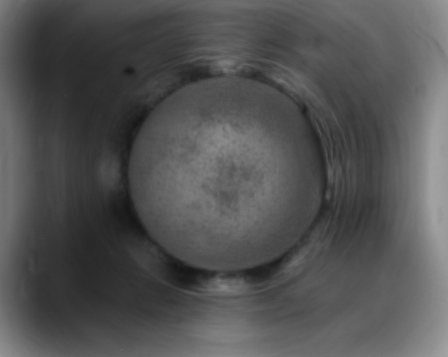 X0000090440270200707131225