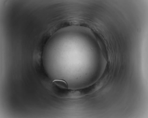 X0000090440271200707131225