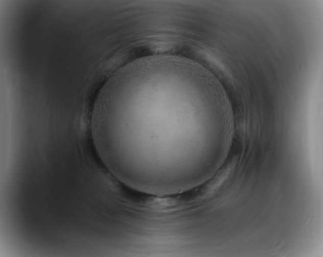 X0000090440277200707131225