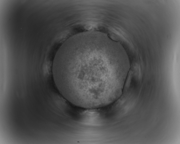 X0000090440280200707131225