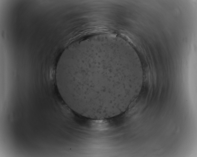 X0000090440281200707131225