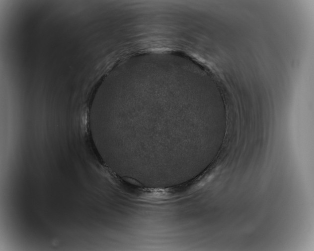 X0000090440288200707131225