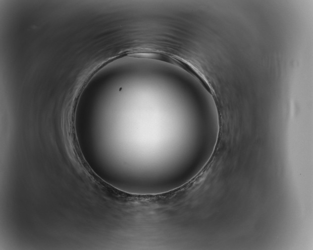 X0000090440289200707131225