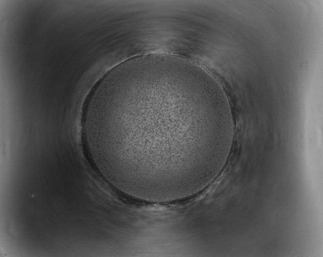 X0000090440290200707131225