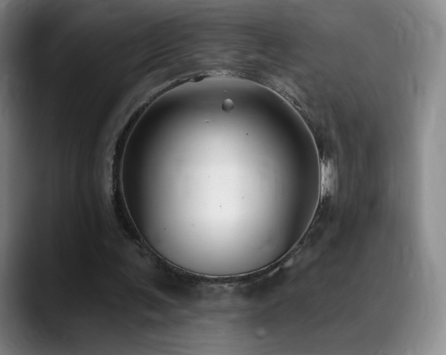 X0000090440291200707131225