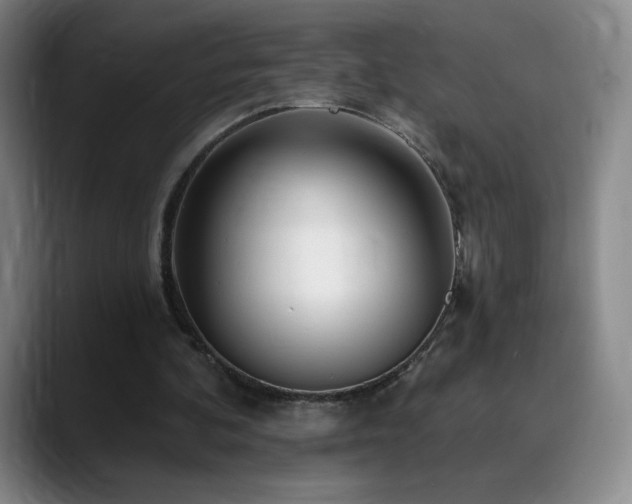 X0000090440292200707131225