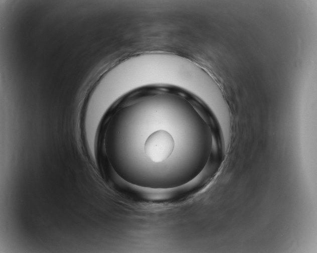 X0000090440293200707131225