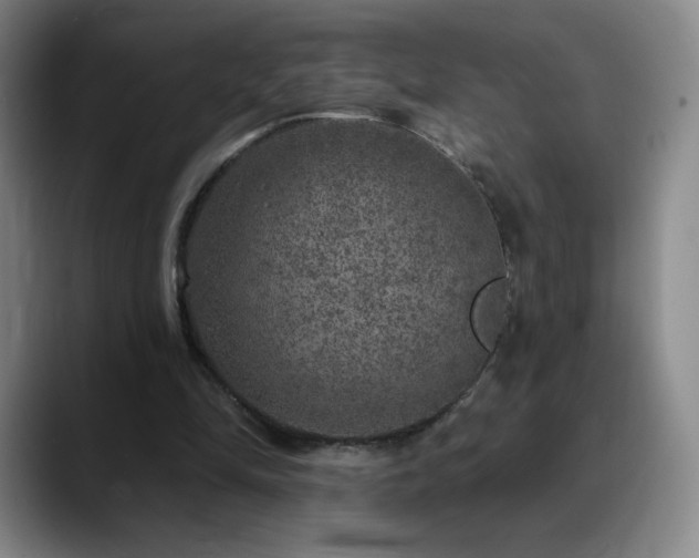 X0000090440294200707131225