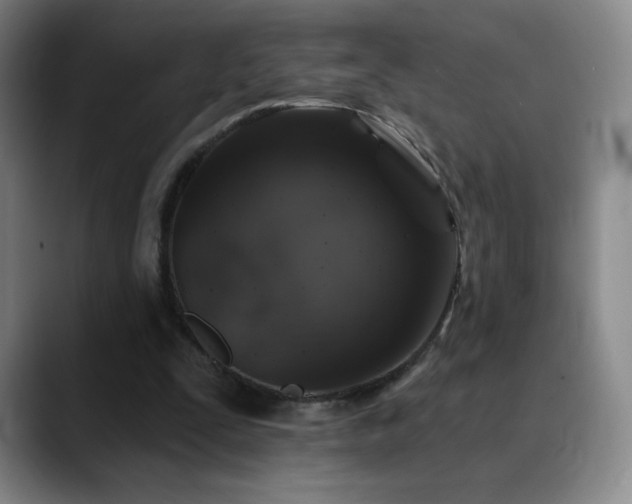 X0000090440295200707131225