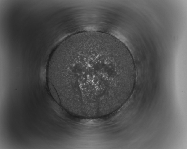 X0000090440297200707131225