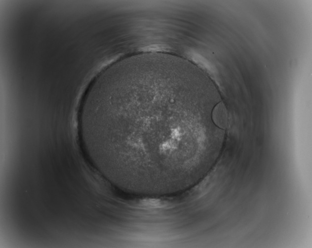 X0000090440298200707131225