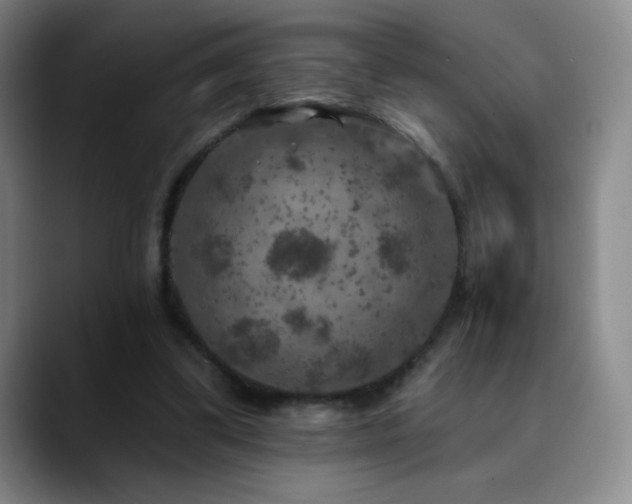 X0000090440299200707131225