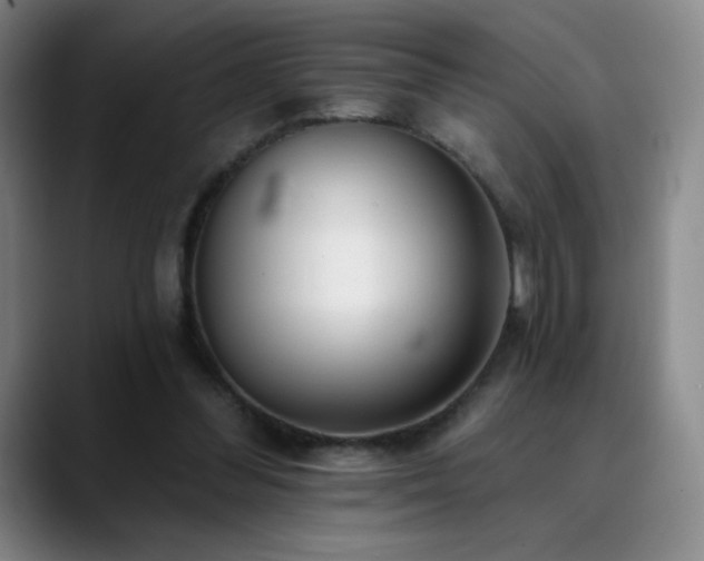 X0000090440300200707131225