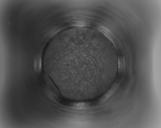 X0000090440301200707131225