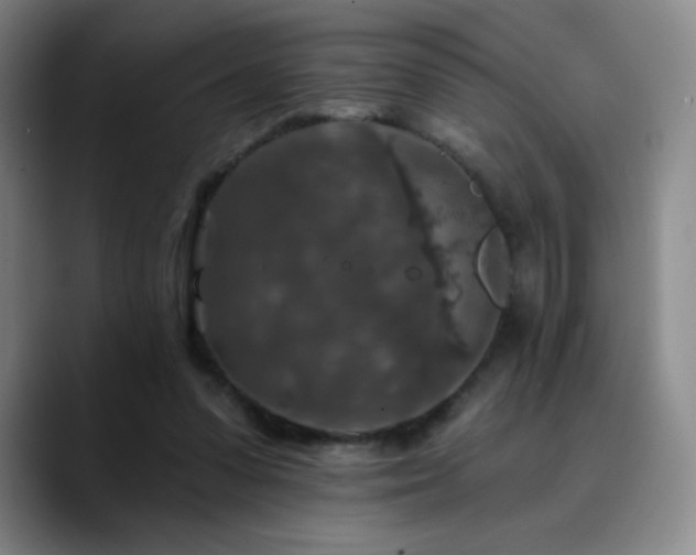 X0000090440303200707131225