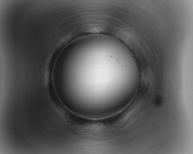 X0000090440304200707131225