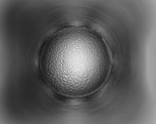 X0000090440305200707131225