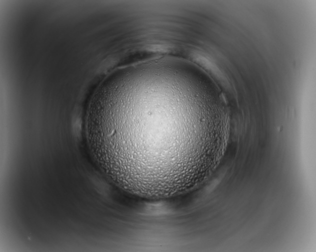 X0000090440309200707131225