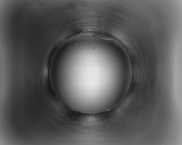 X0000090440310200707131224