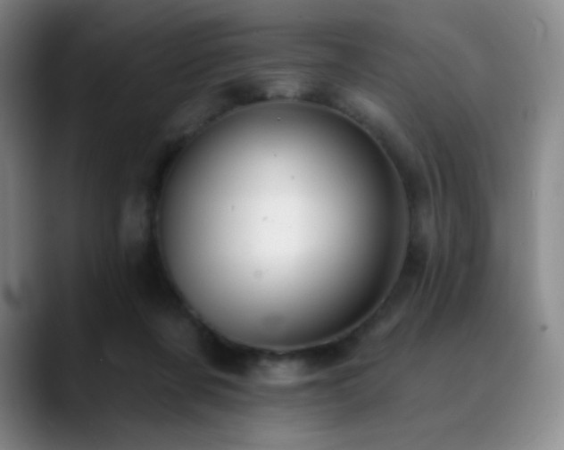 X0000090440311200707131224