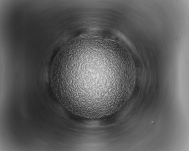 X0000090440313200707131224