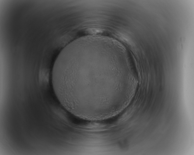 X0000090440315200707131224