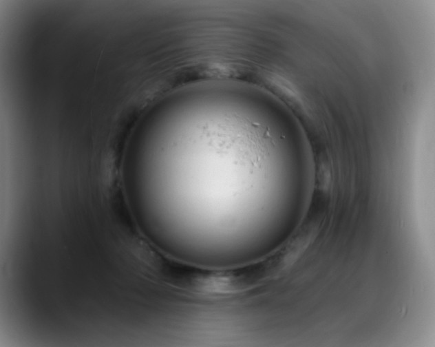 X0000090440318200707131224