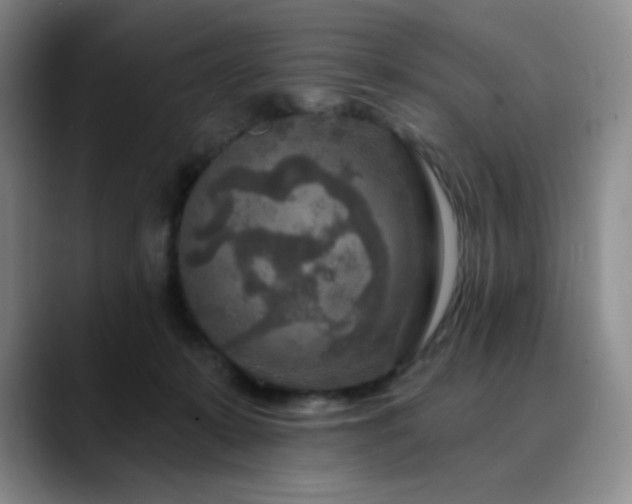 X0000090440319200707131224