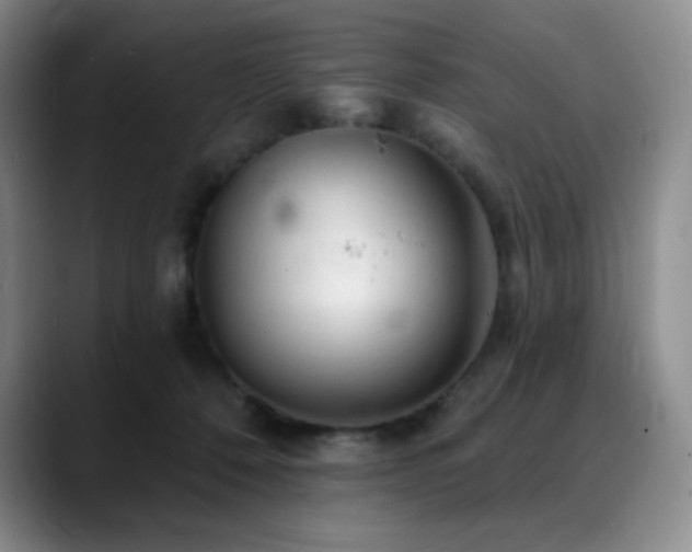 X0000090440320200707131224