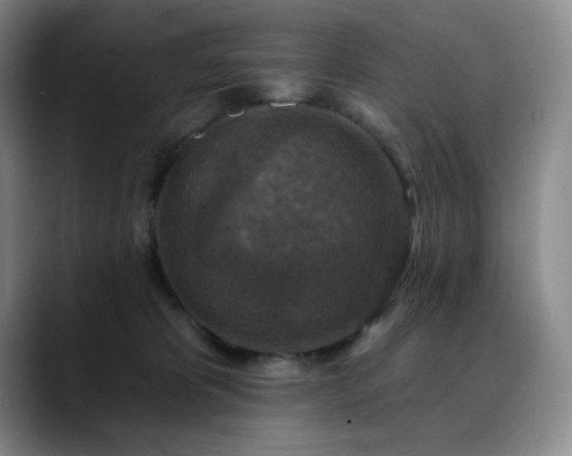 X0000090440325200707131224