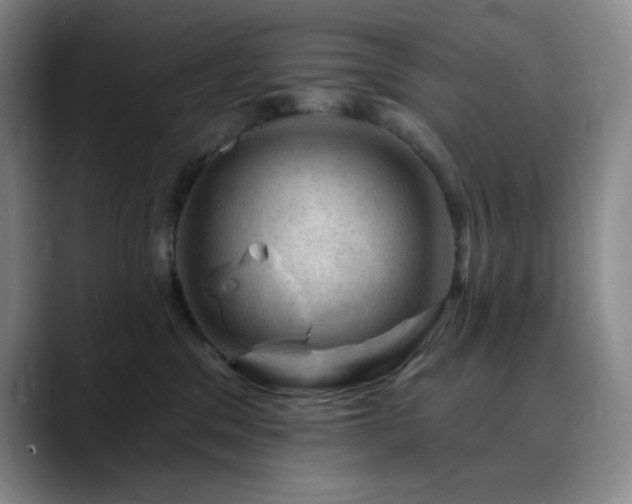 X0000090440329200707131224