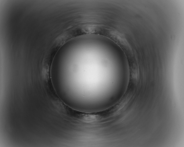 X0000090440332200707131224