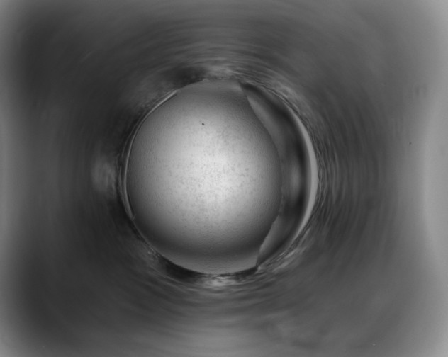 X0000090440333200707131224