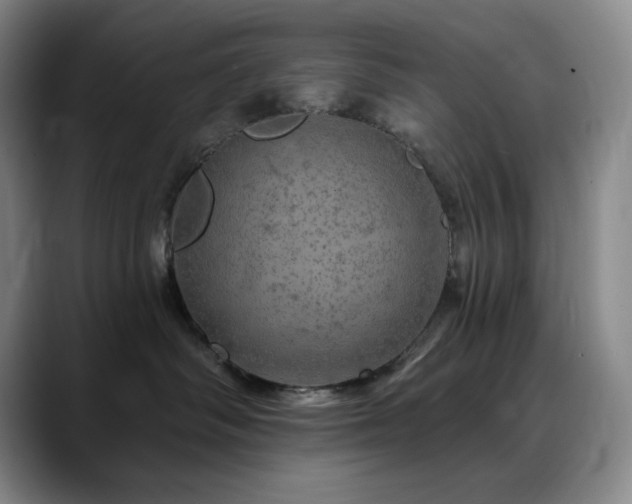 X0000090440334200707131224