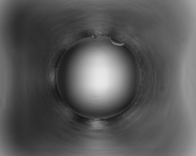 X0000090440336200707131224