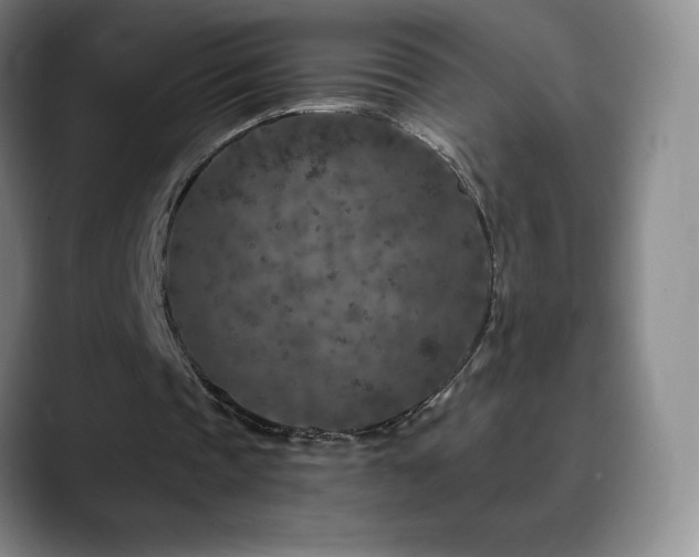 X0000090440337200707131224