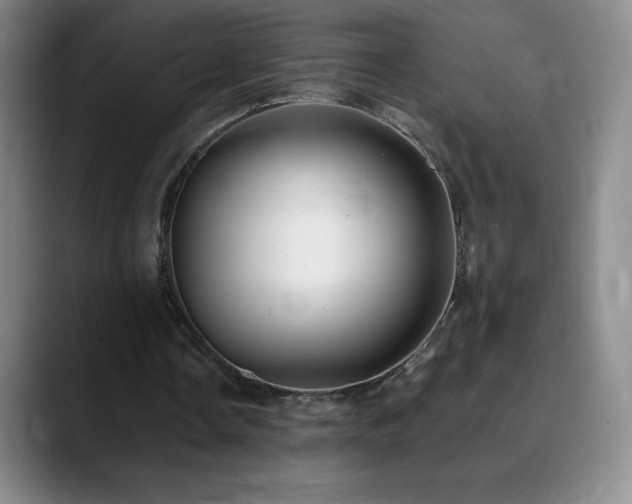 X0000090440338200707131224