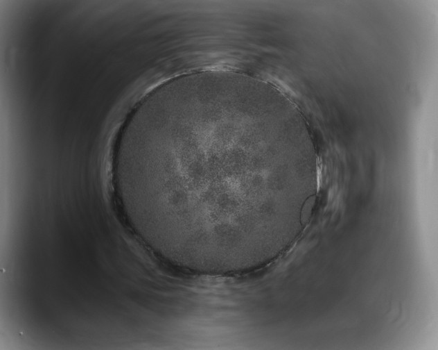 X0000090440339200707131224