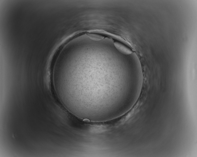 X0000090440342200707131224