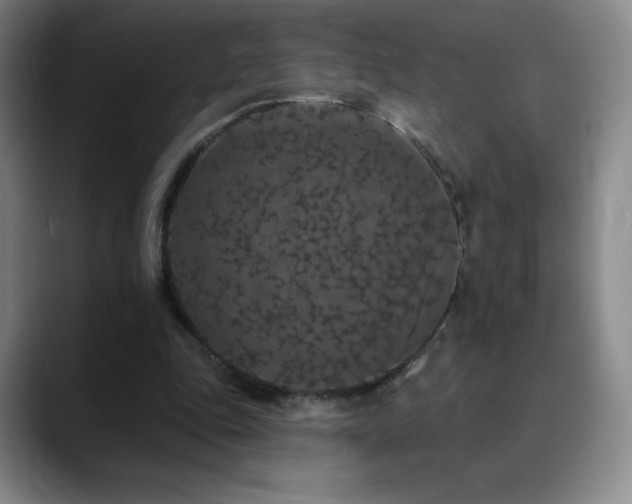 X0000090440343200707131224