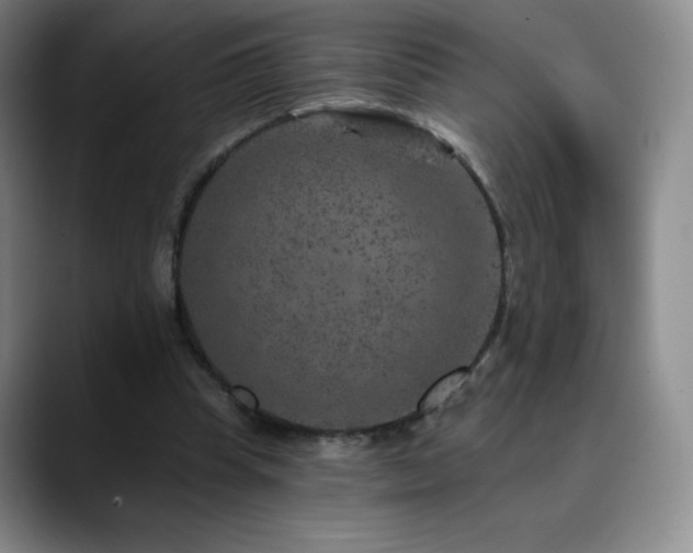 X0000090440345200707131224