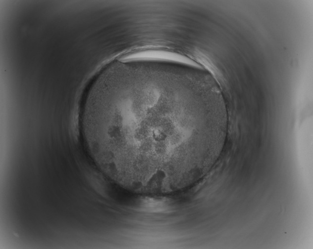 X0000090440346200707131224