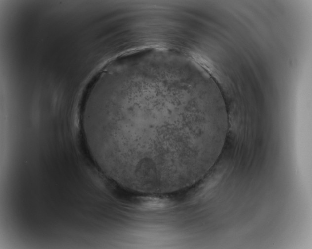 X0000090440347200707131224