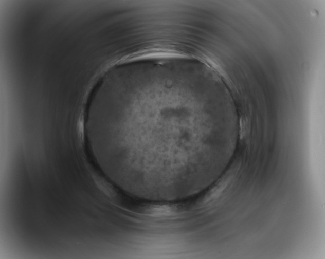 X0000090440349200707131224